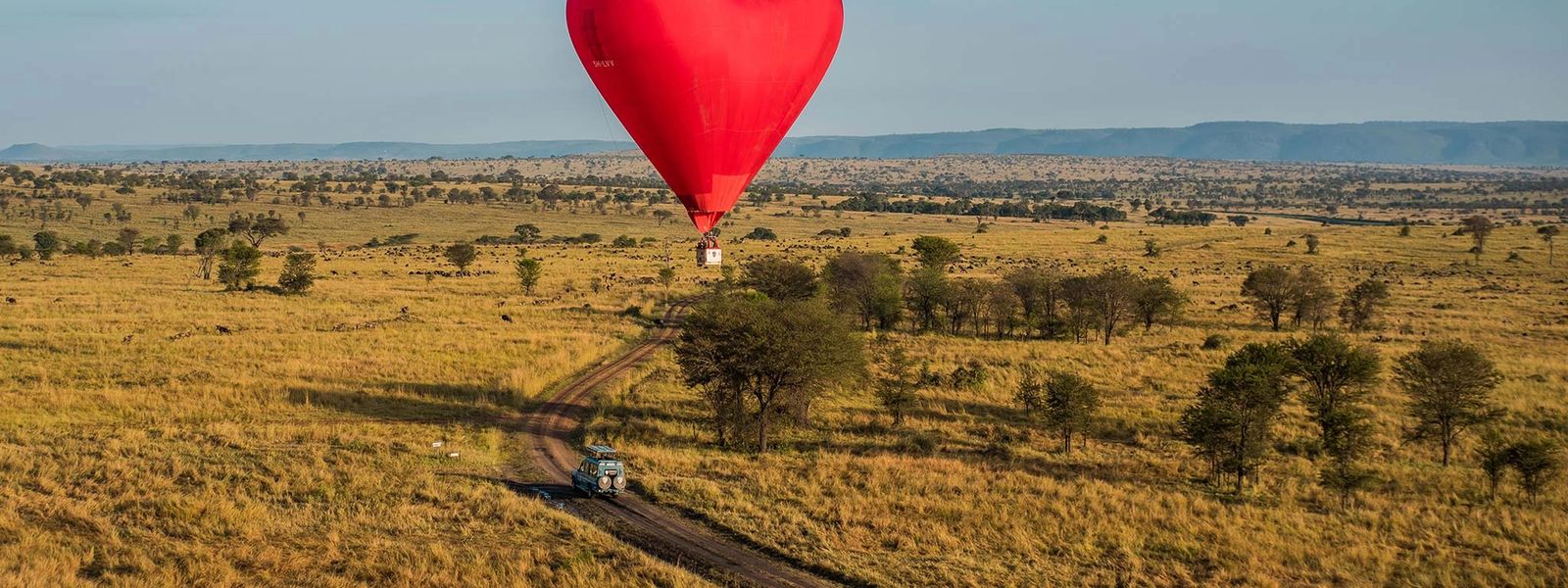 Le Serengeti en images