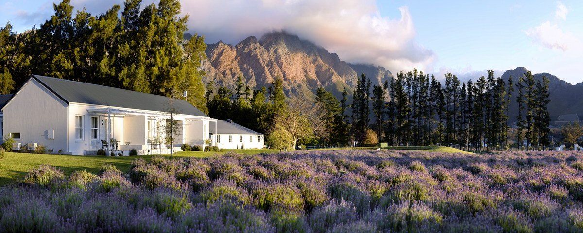 Comme un air de provence à Franschhoek