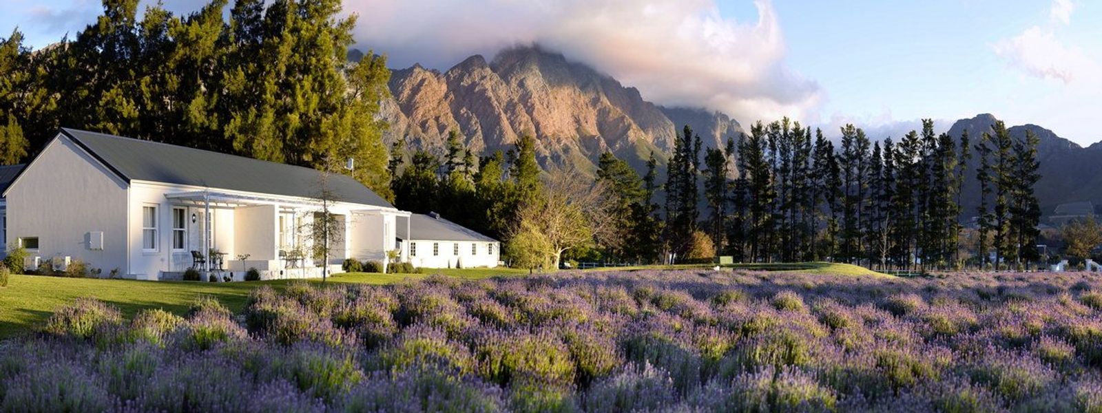 Comme un air de provence à Franschhoek