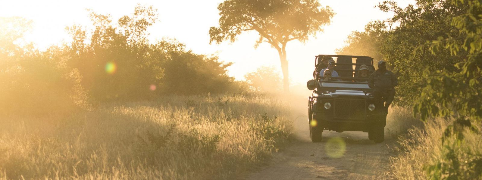 24 Stunden auf Safari: Ihr Tagesablauf im Reich der Big Five
