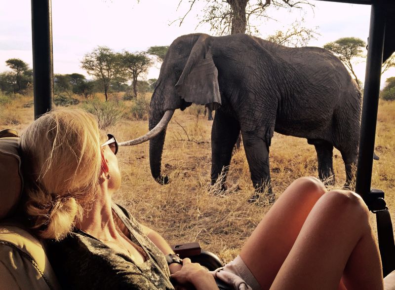 Elefantensichtung auf einer Tansania-Safari im Tarangire Nationalpark
