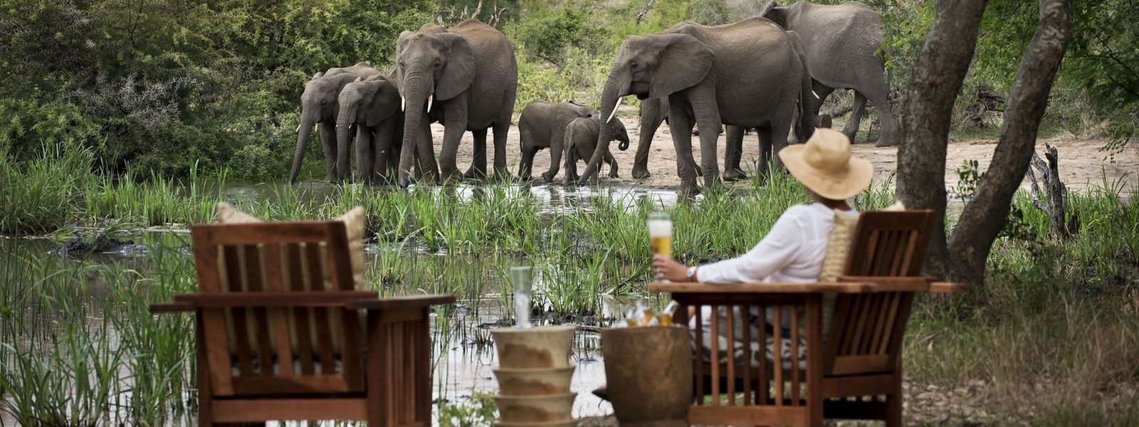 Parque nacional o reserva privada: ¿Cuál es la diferencia?