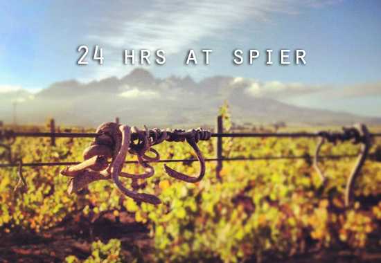 24 Hours At Spier Wine Estate