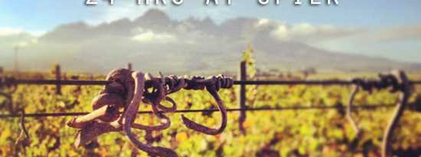 24 Hours At Spier Wine Estate