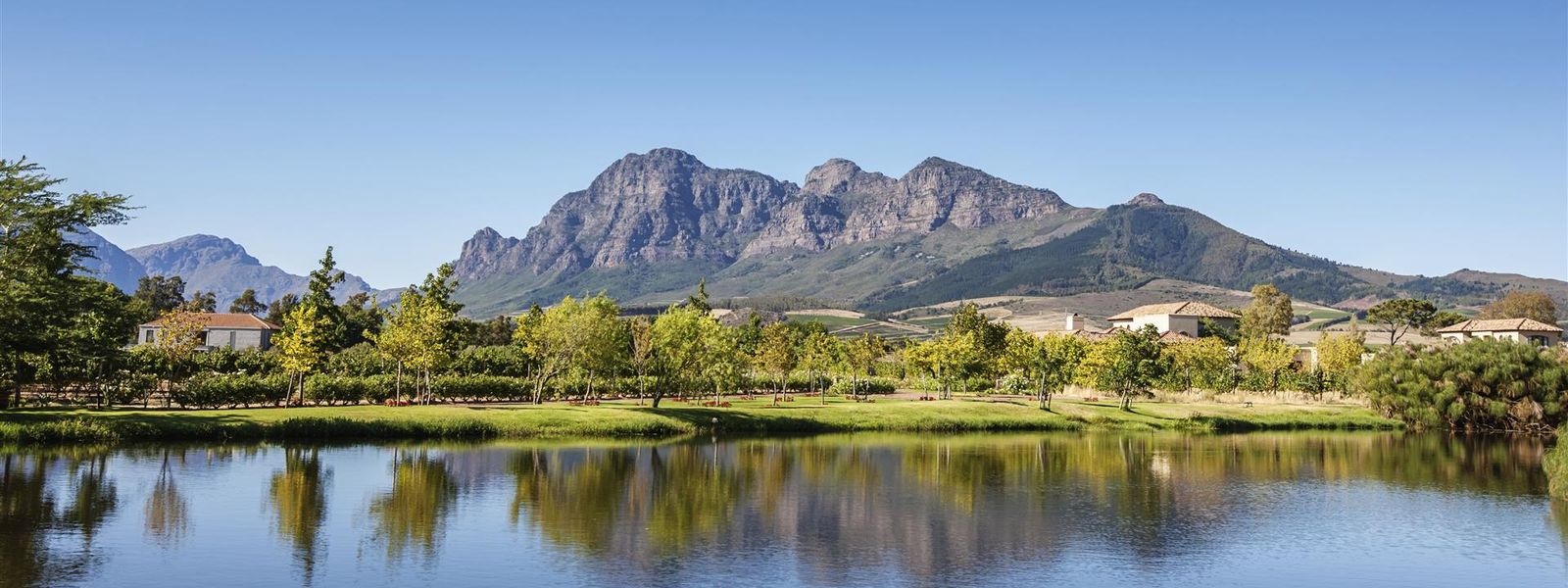 Explore the Cape Winelands - start with Stellenbosch...