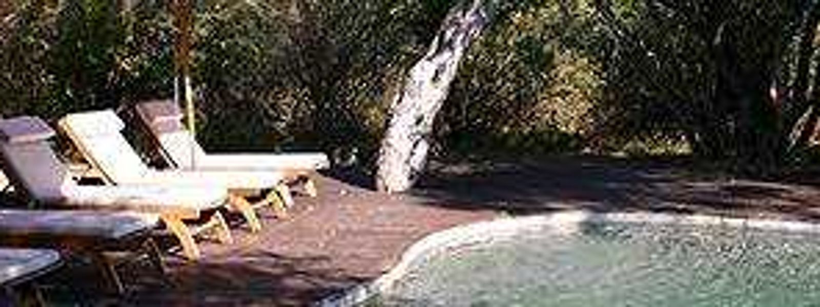 Tanda Tula in Timbavati