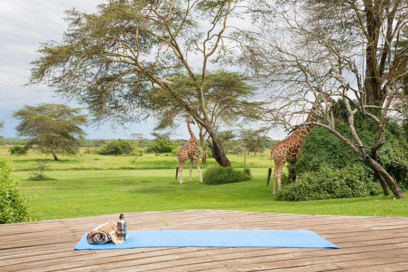 A blue yoga mat rolled out with a towel and water bottle neatly placed on a wooden deck a few metres away from lush green plains and giraffes grazing among the trees