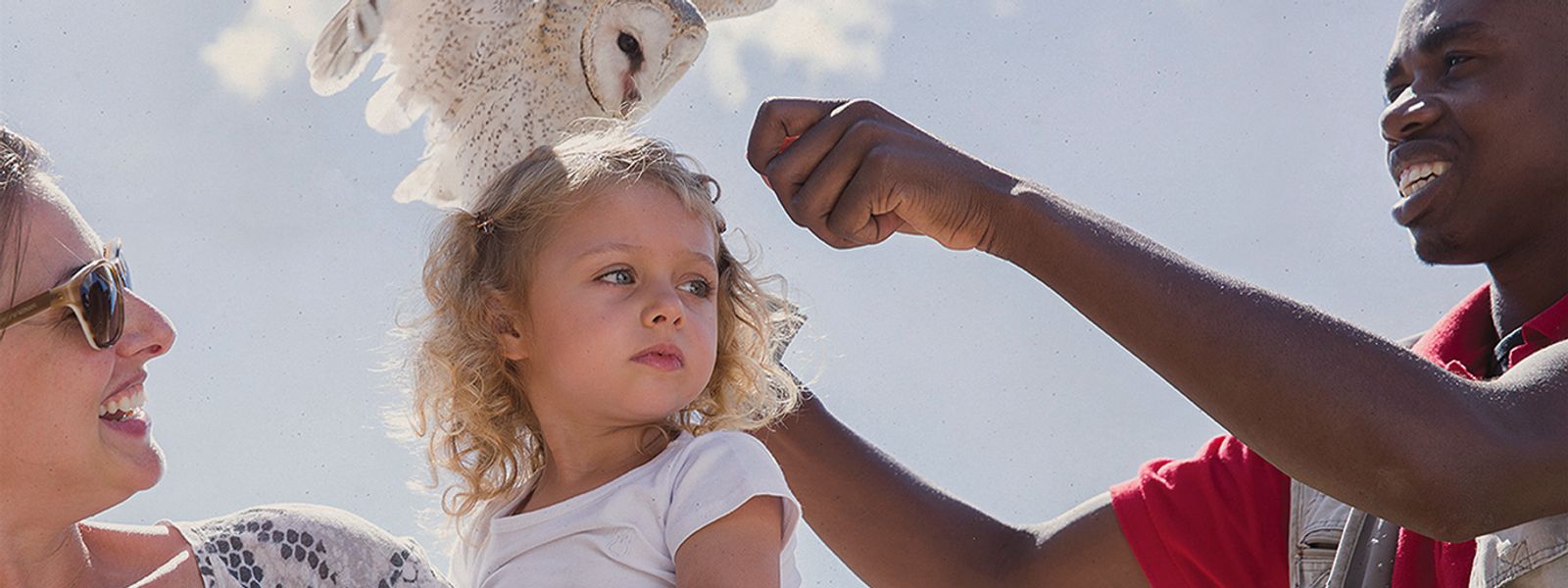 Fun Activities For Children In Cape Town