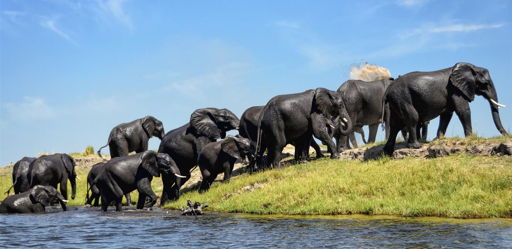 8 Gründe, in der Green Season nach Botswana zu reisen
