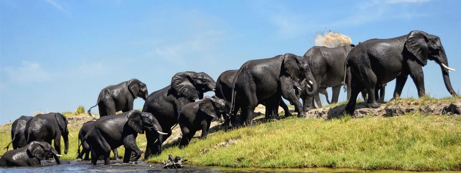 8 Gründe, in der Green Season nach Botswana zu reisen
