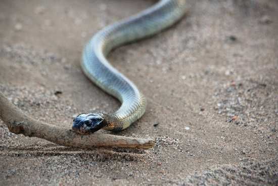 Namibia's Damaraland - watch your step!
