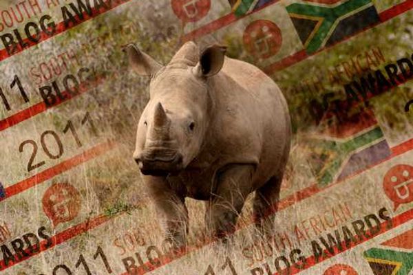 It's the 2011 SA Blog Awards