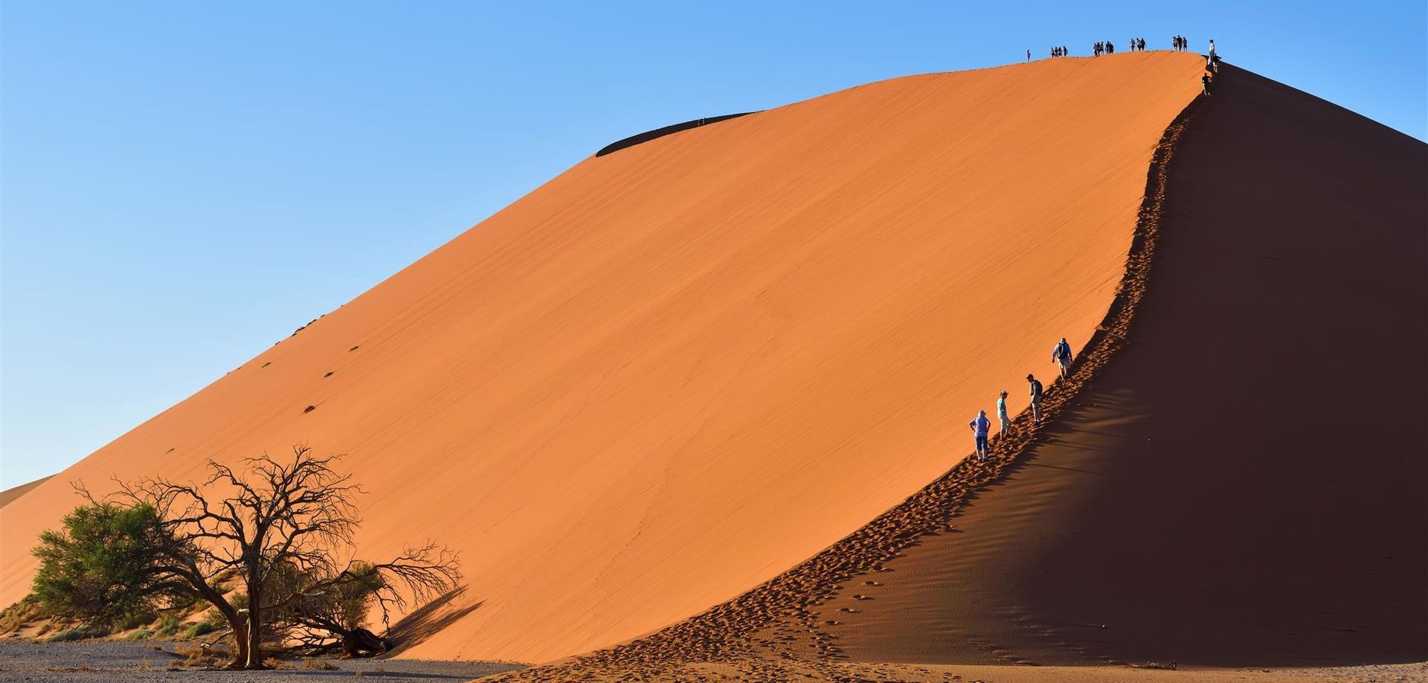 10 raisons de voyager en Namibie