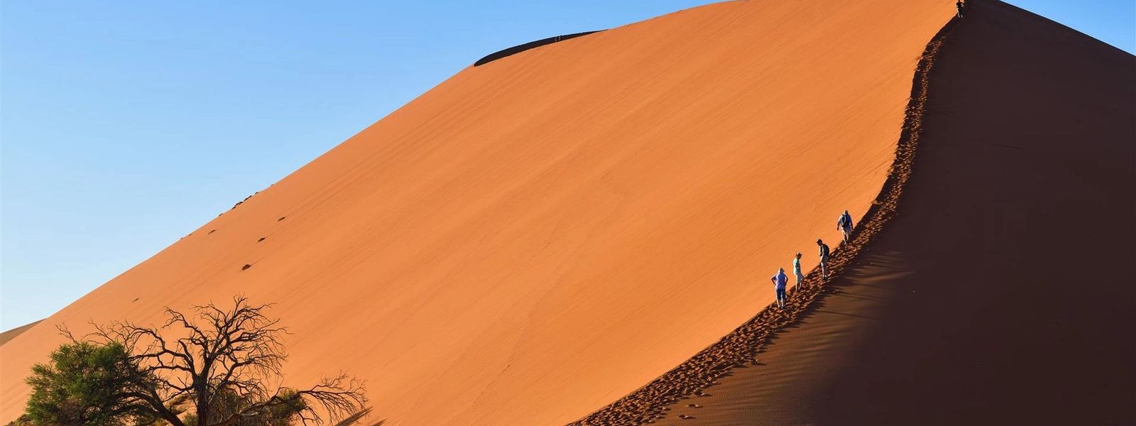 10 raisons de voyager en Namibie