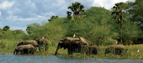 Sustianable Tourism