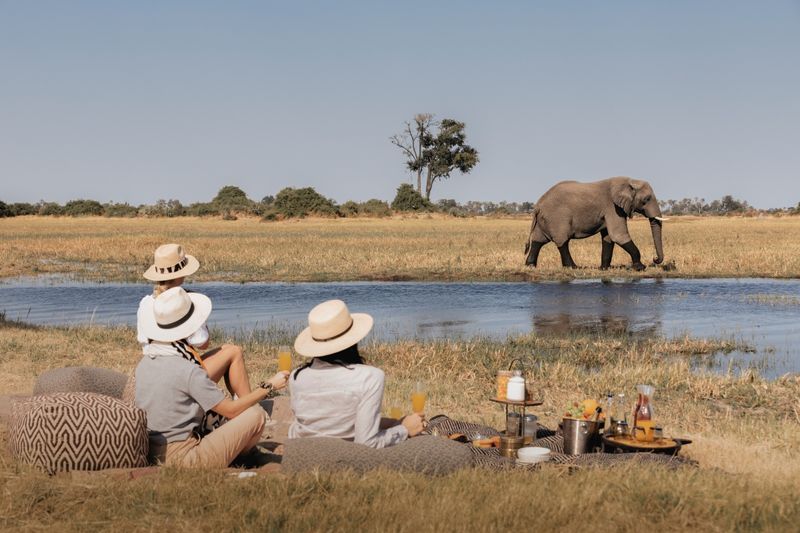 Su aventura africana lo espera