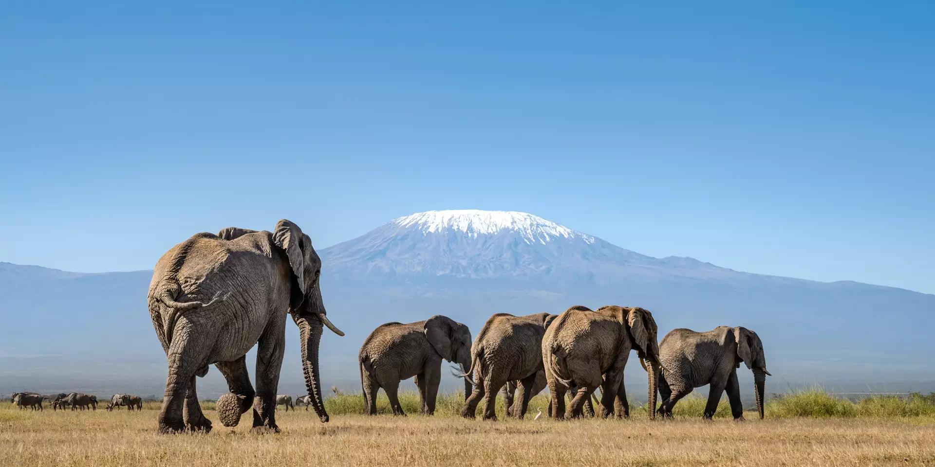 Os Melhores Destinos para Visitar na África Oriental
