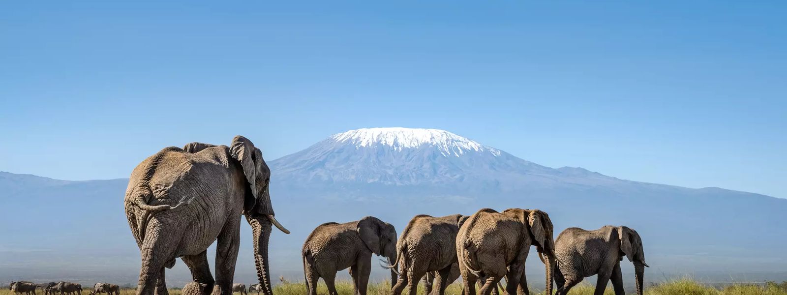 The Best Destinations To Visit in East Africa