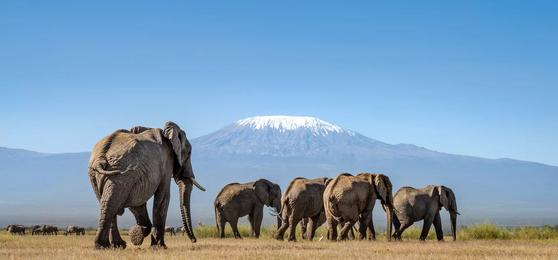 Os Melhores Destinos para Visitar na África Oriental