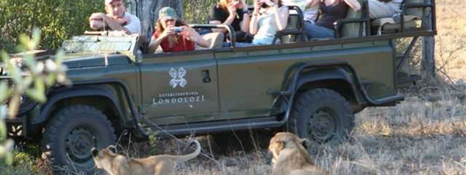 A True Safari Experience !