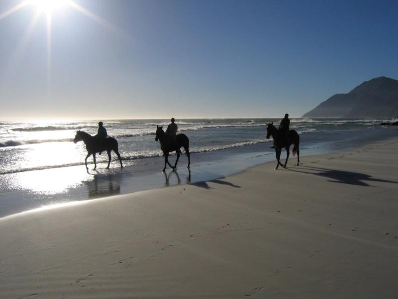 Ausritt am Strand von Noordhoek