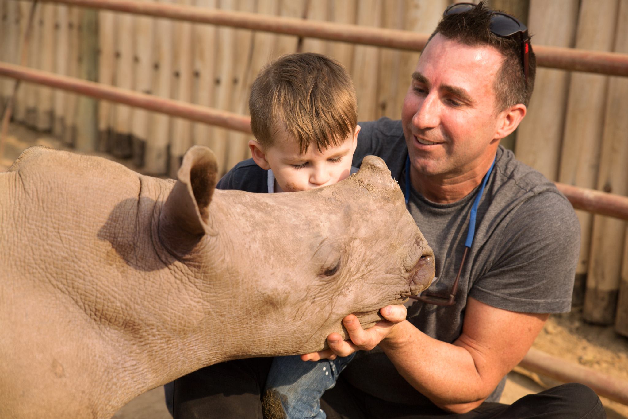 La gestión de Rhino Africa en tiempos de Covid-19
