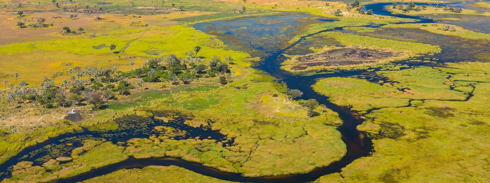 Where to Go to Experience the Ultimate African Safari