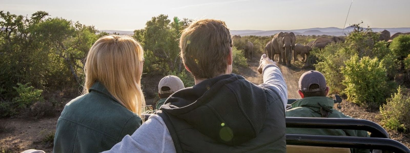 Tu safari africano: un día típico en la sabana