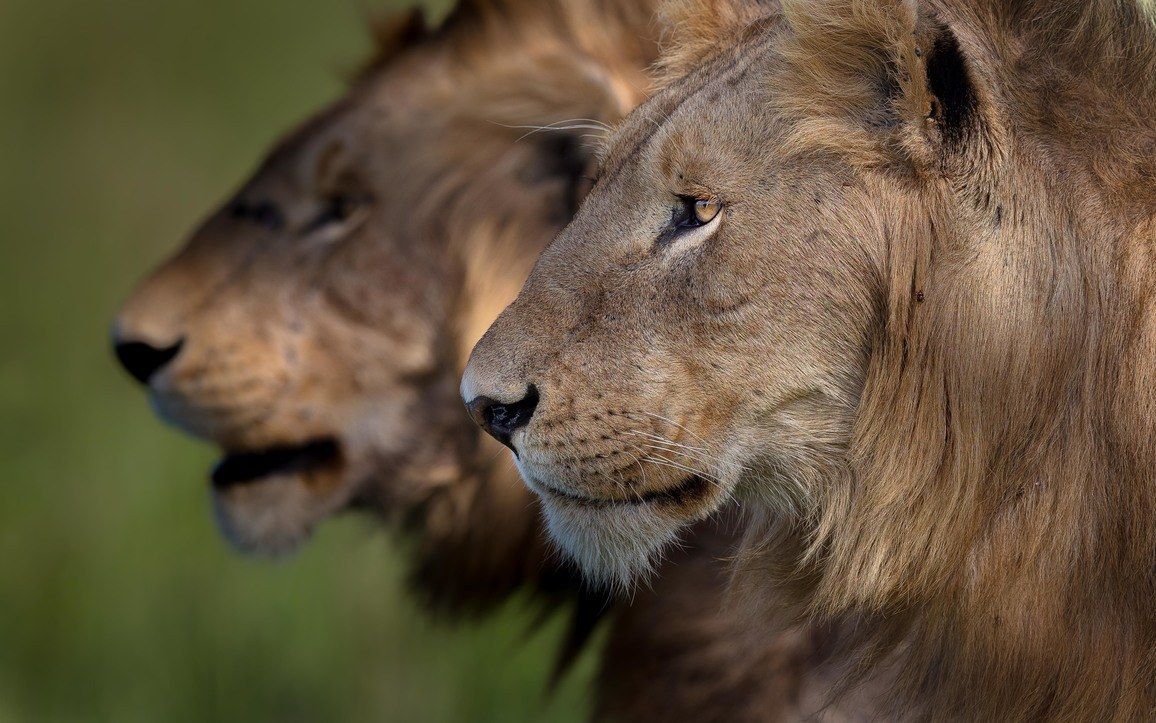 Comienza el concurso Africa's Photographer of the Year 2021