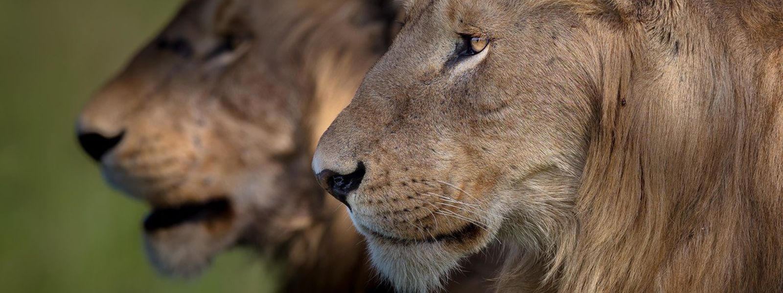 Comienza el concurso Africa's Photographer of the Year 2021
