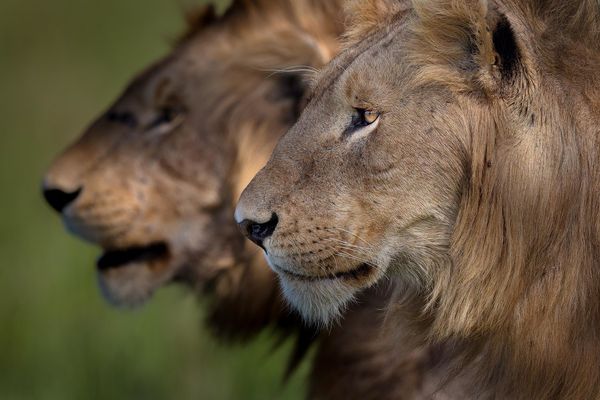 Africa’s Photographer of the Year 2021 Competition is Open