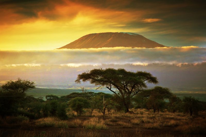 le Kilimanjaro au-dessus des nuages