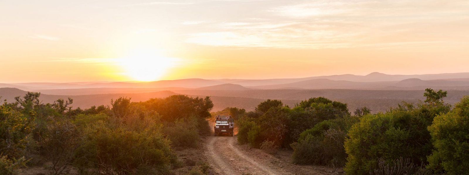 South Africa's Best Places For A Malaria-Free Safari