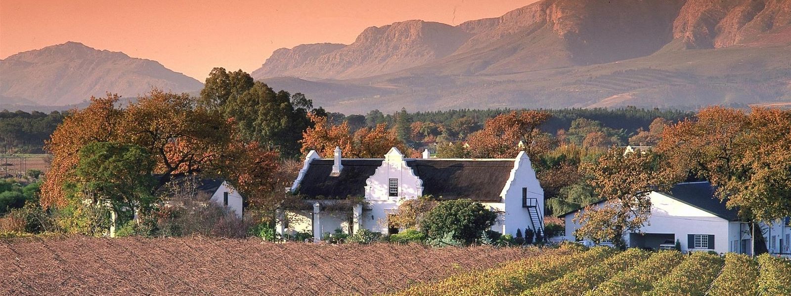A Few of Our Favourite Things to Do in the Cape Winelands