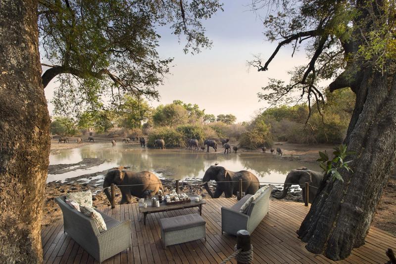 A wooden deck with seating overlooks a waterhole, where elephants drink and roam amidst trees and greenery