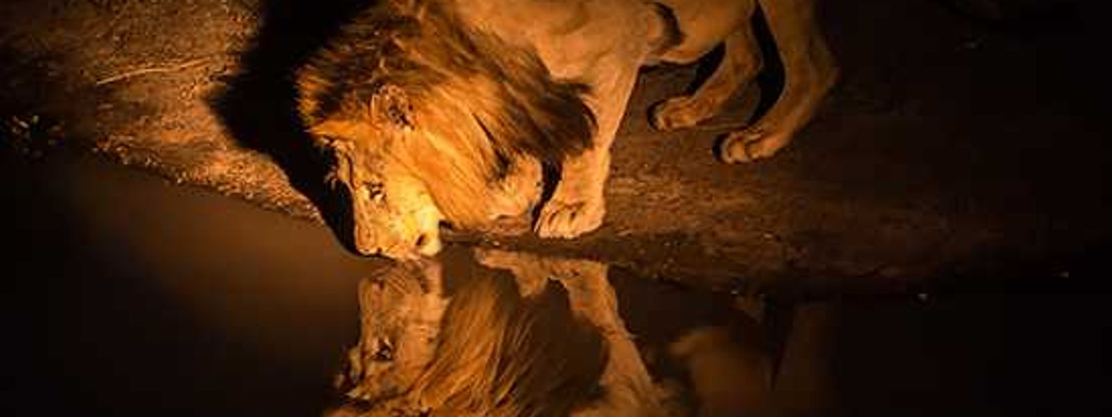 South Africa: What Lies Beyond...