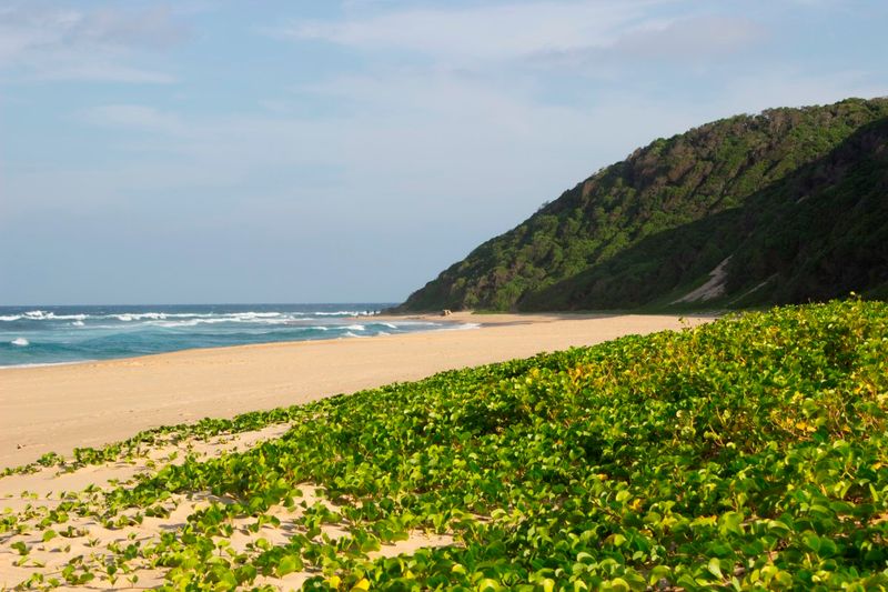 Endless views of coastal forest and sandy beach around Thonga Beach Lodge