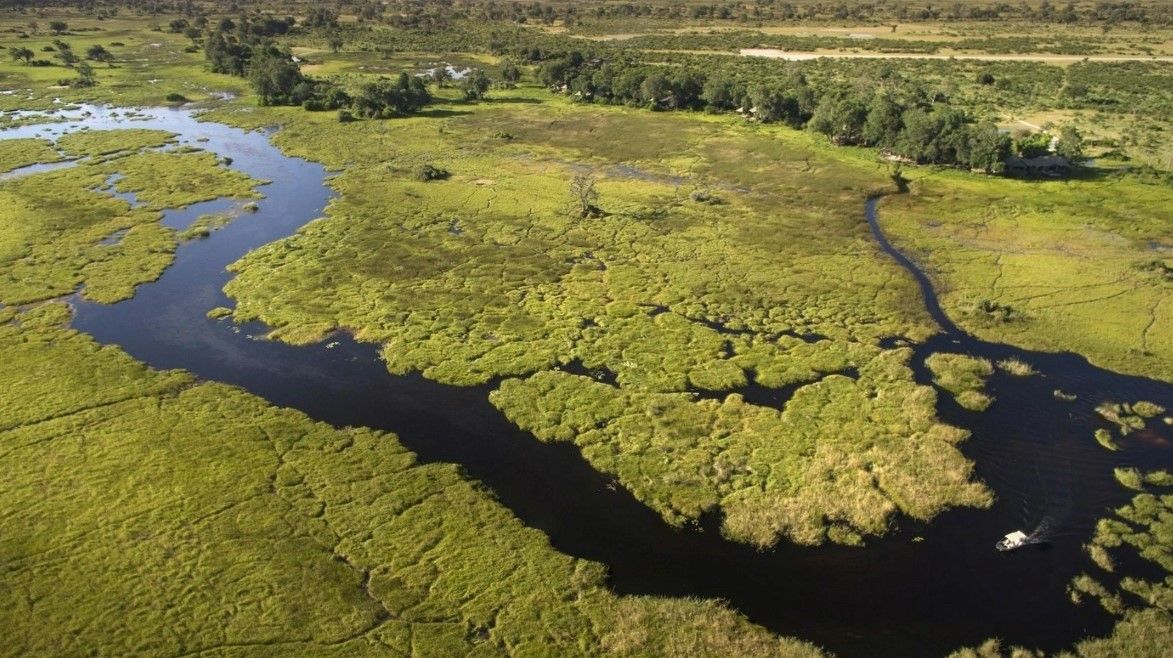 The Best Okavango Delta Safari Lodges and Camps for 2024