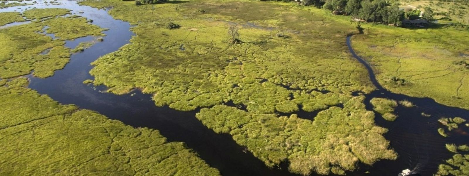 The Best Okavango Delta Safari Lodges and Camps for 2024