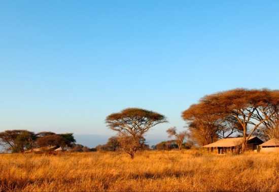 Go Glamping - Mobile Tented Safaris