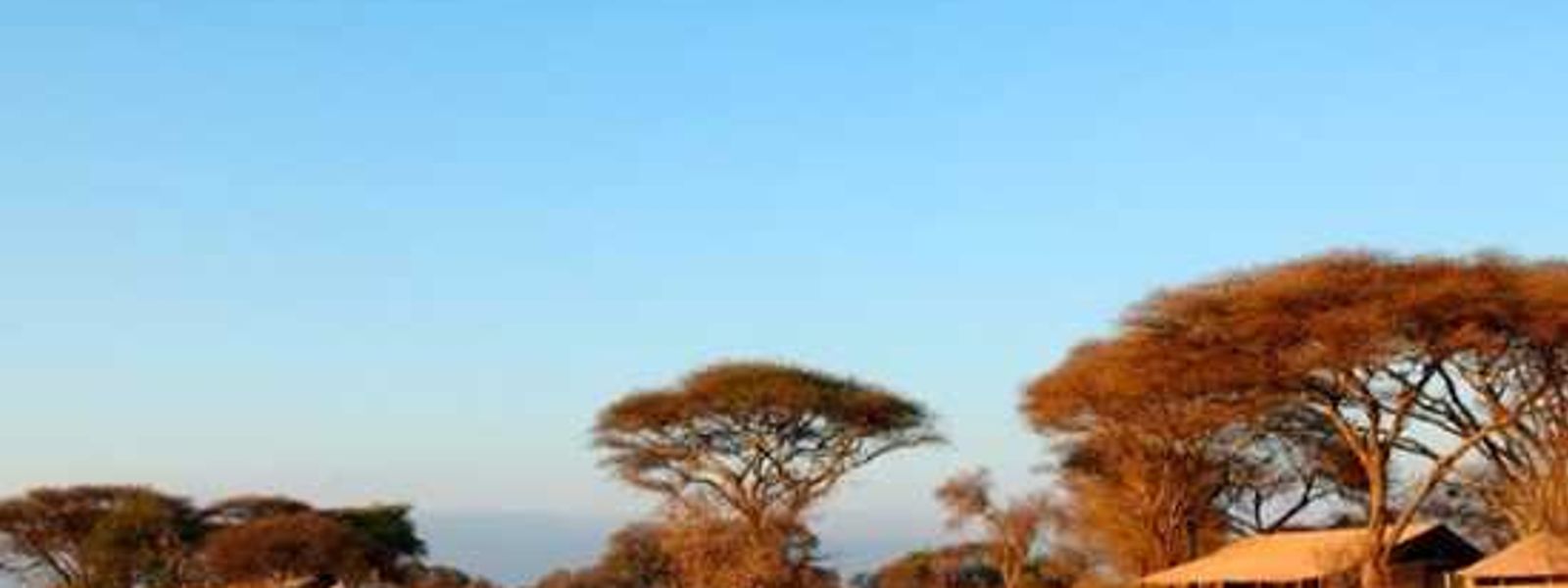 Go Glamping - Mobile Tented Safaris