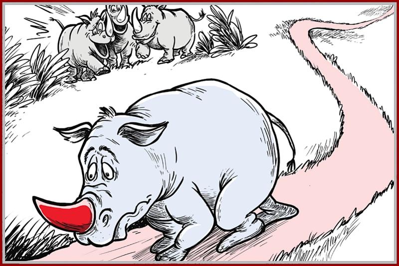 Rodney being teased by other rhinos