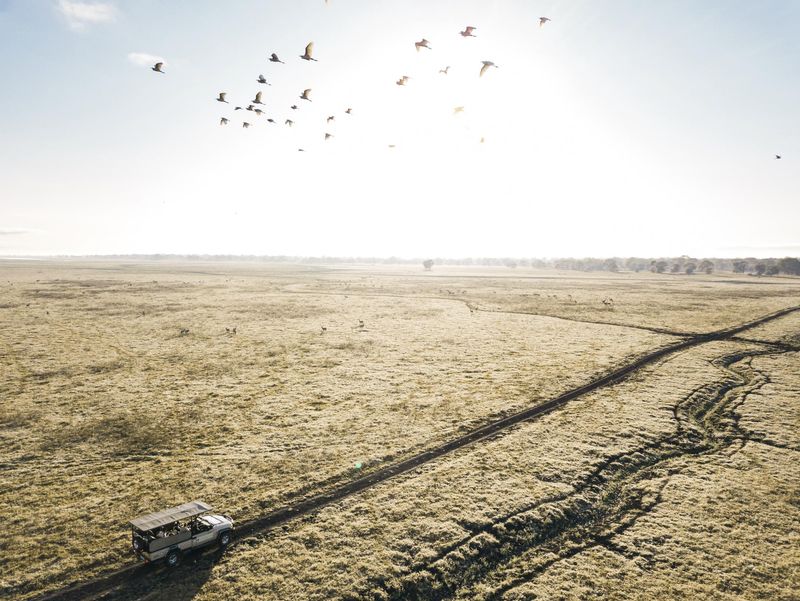 A safari vehicle crosses an open Gorongosa floodplain beneath a wide sky filled with birds in flight, capturing the sense of scale and renewal central to the impact in Gorongosa.