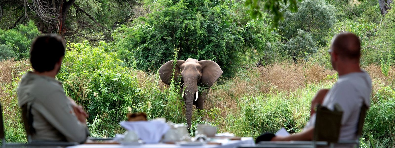 Les temps forts d’un safari à Singita