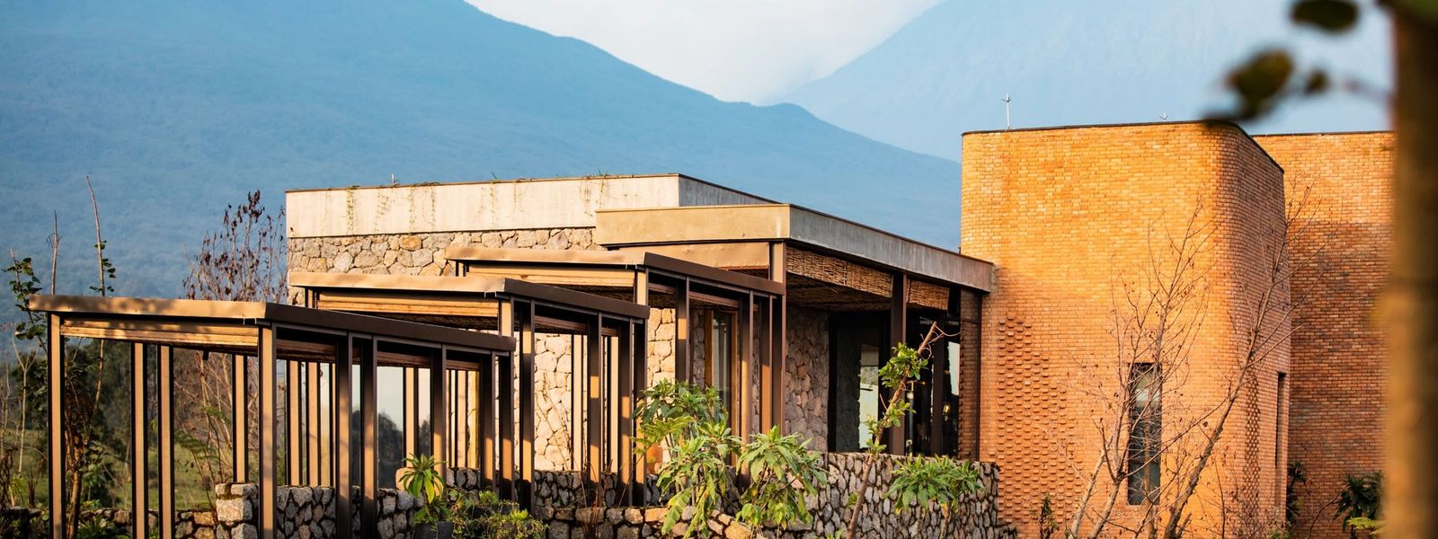 Top Accommodations for Gorilla Trekking in Africa