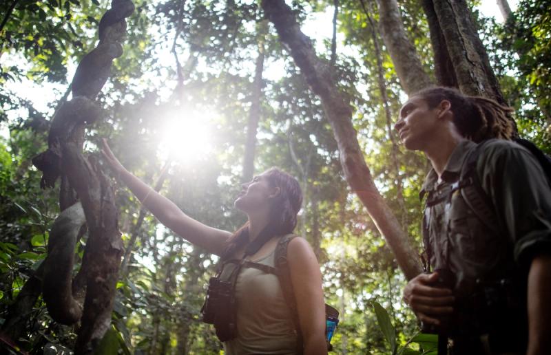 A couple enjoying a forest walk