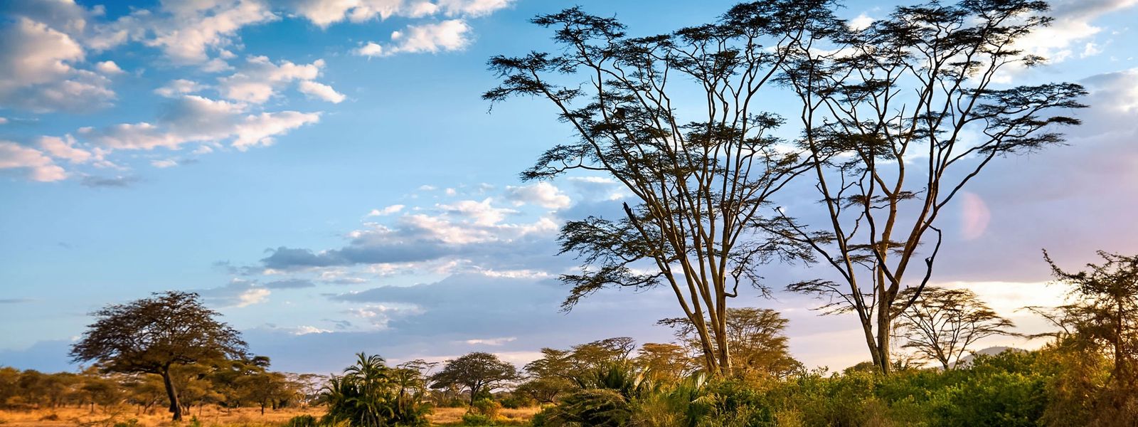 Tanzania in Pictures: Untamed Safari Circuits and Tropical Escapes