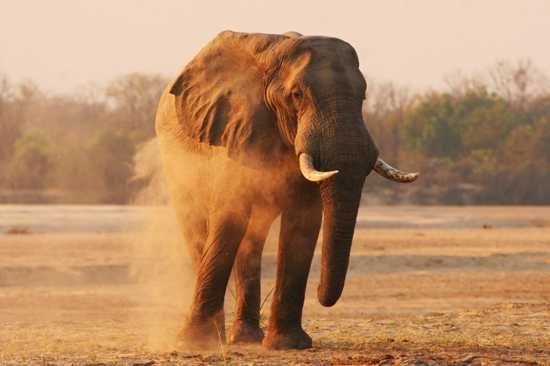 Behind the Lense - Leigh-ann Combrink