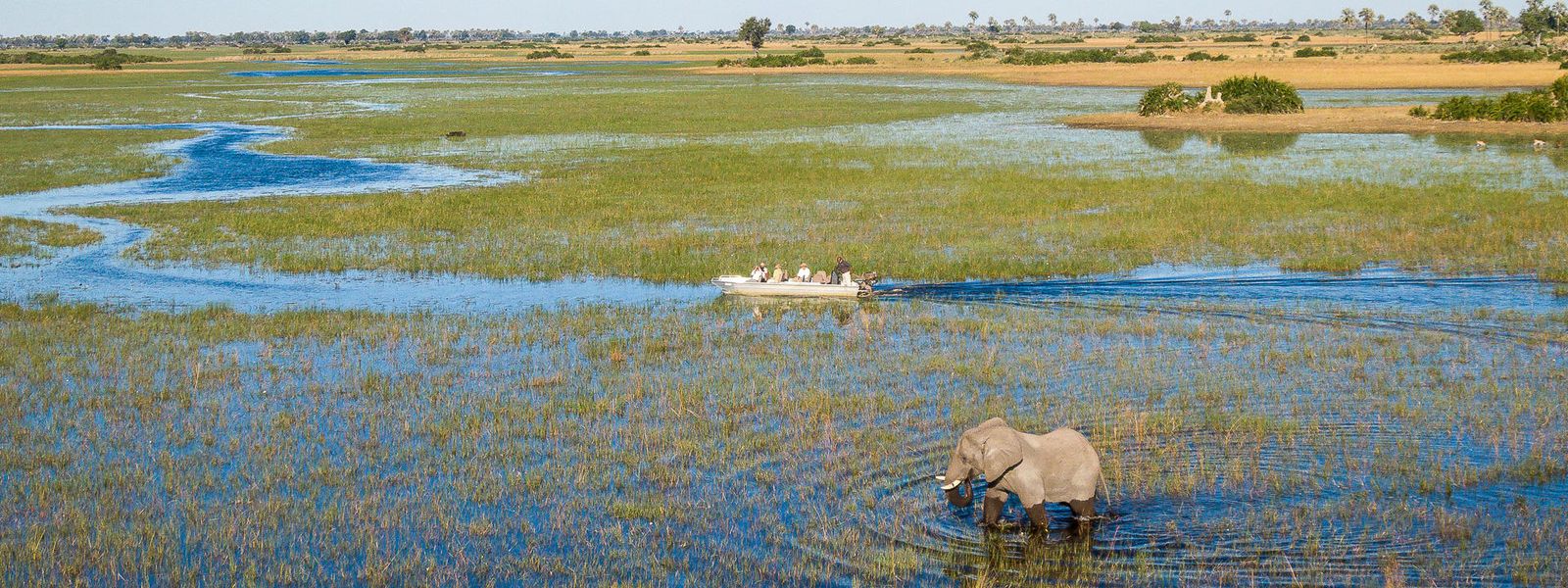 Revealing the Ripple Effect of African Travel