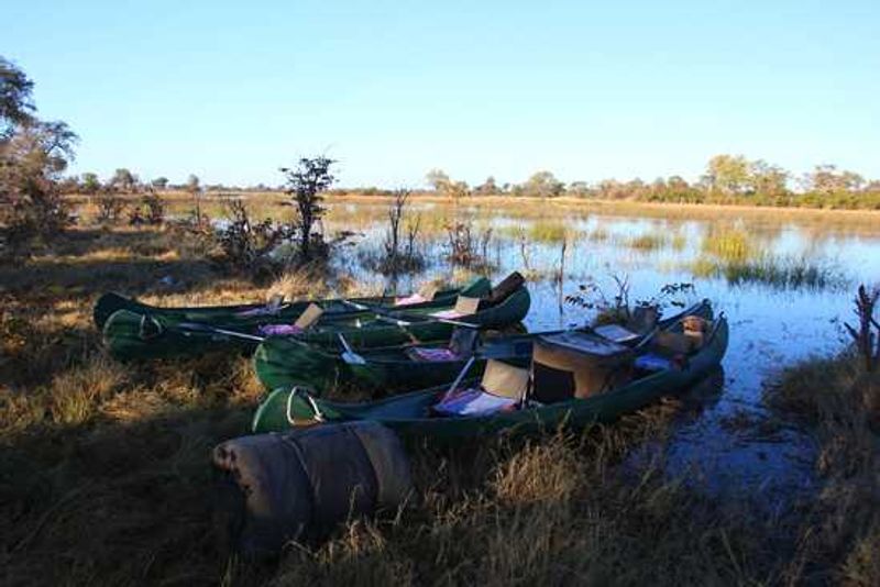 Embarking on the Seli